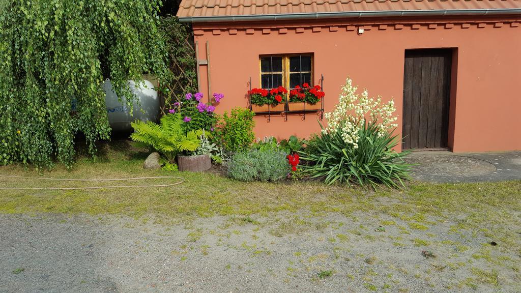 Storchennest Apartamento Grosswudicke Exterior foto